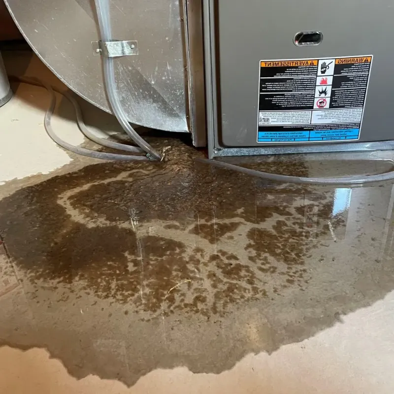 Pipe Burst and Leak Restoration in Sylvan Beach, NY